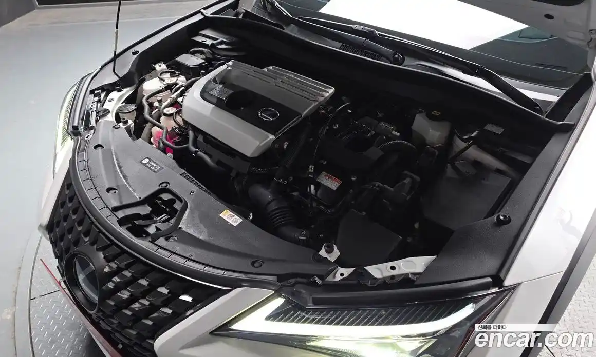 Lexus UX 2020 2.0 гидро в Москве № 1424001, фото 6