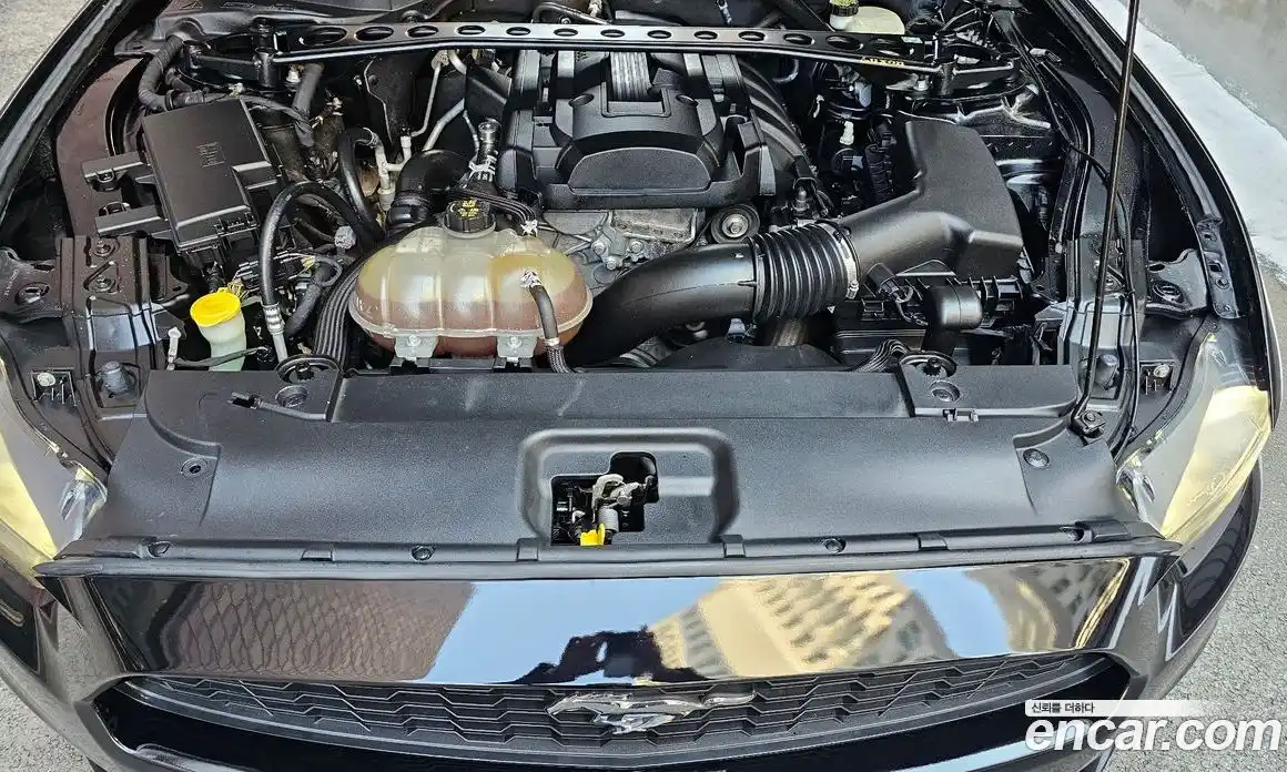 Ford Mustang 2017 2.3 гидро в Москве № 1406237, фото 20