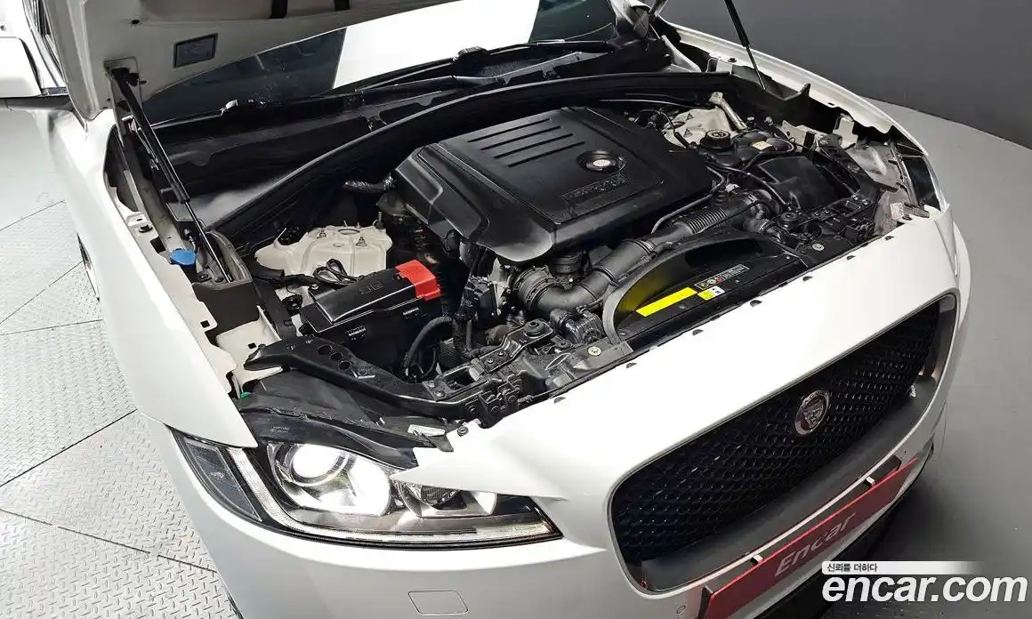 Jaguar F-Pace 2018 2.0 гидро в Москве № 1422706, фото 6