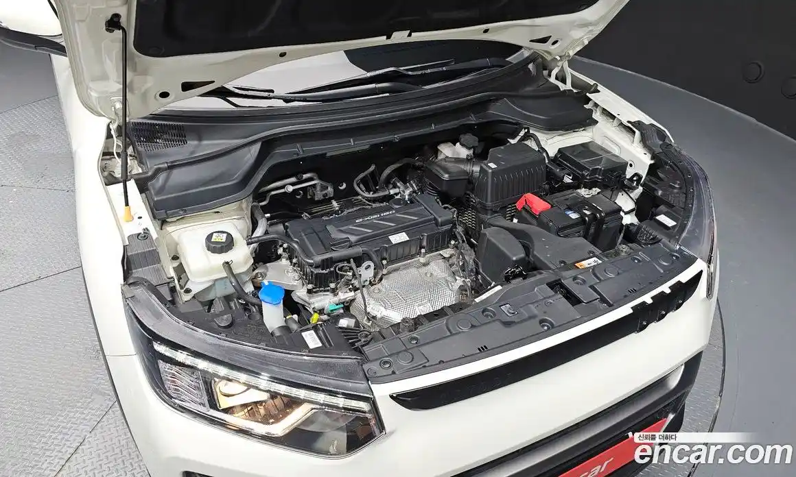 SsangYong TIBOLI 2024 1.6 гидро в Москве № 1399942, фото 6