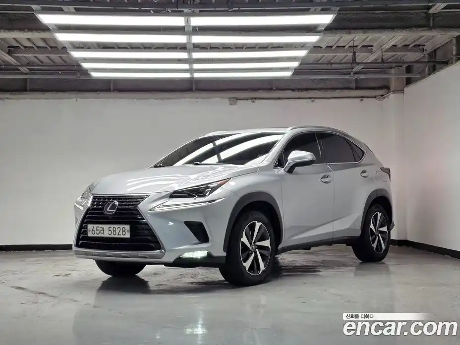 Lexus NX 2018 2.5 гидро в Москве № 168325, фото 1