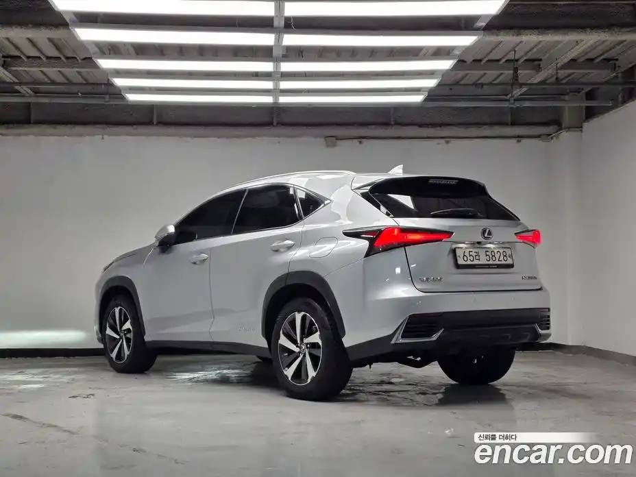 Lexus NX 2018 2.5 гидро в Москве № 168325, фото 2