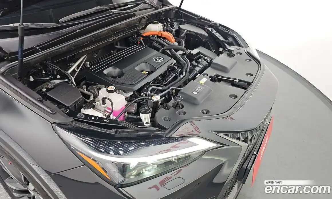 Lexus NX 2023 2.5 гидро в Москве № 1548812, фото 6