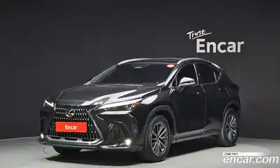 Lexus NX, 2023