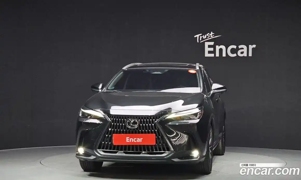 Lexus NX 2023 2.5 гидро в Москве № 214601, фото 3