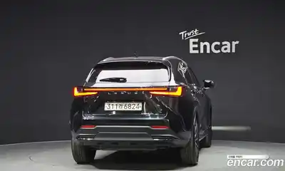 Lexus NX 2023 2.5 гидро в Москве № 214601, миниатюра 4