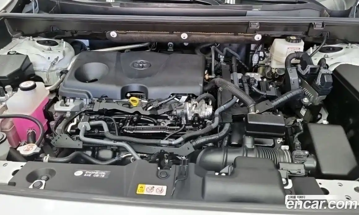 Toyota RAV4 2022 2.5 гидро в Москве № 1550137, фото 6