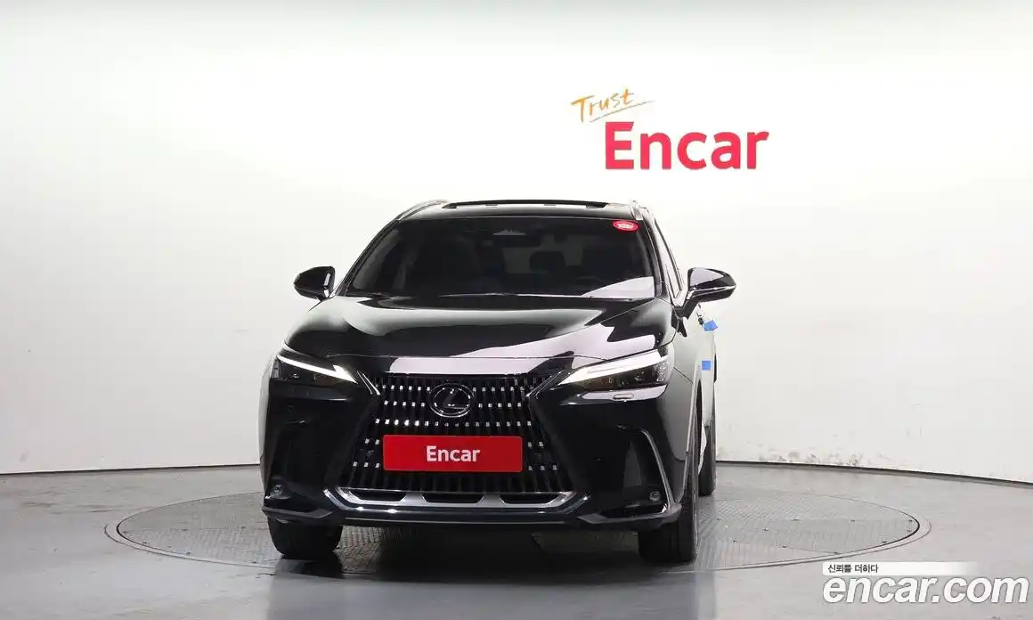 Lexus NX 2023 2.5 гидро в Москве № 1548810, фото 3