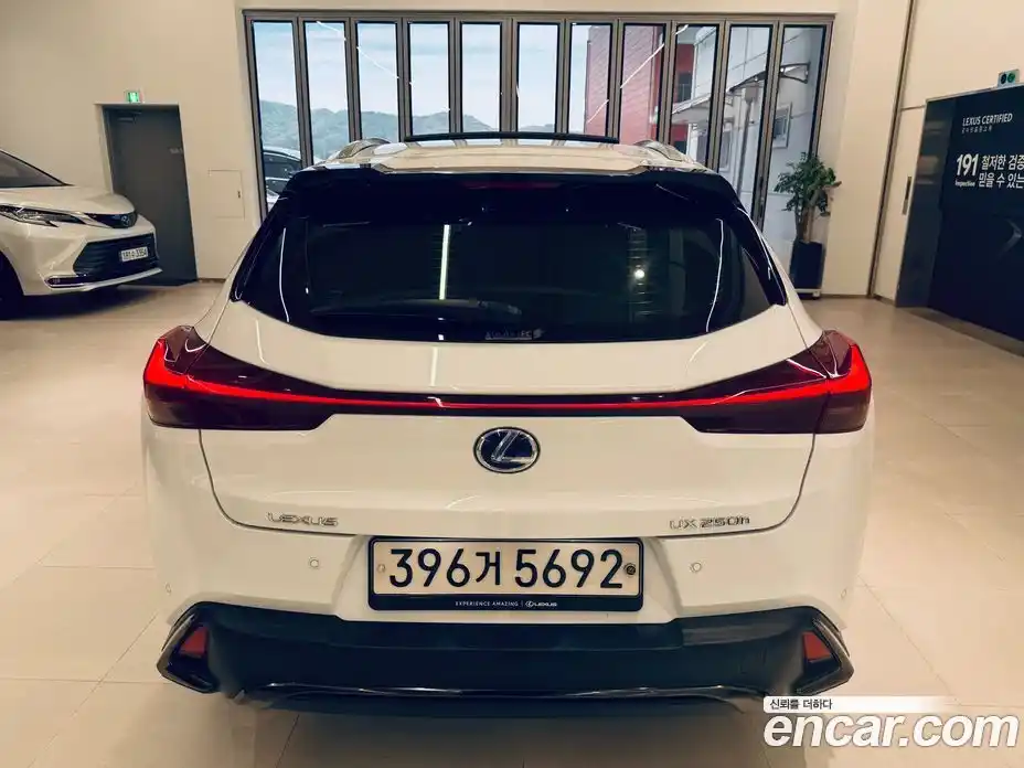 Lexus UX 2020 2.0 вариатор в Москве № 1548947, фото 4