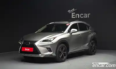 Lexus NX, 2019