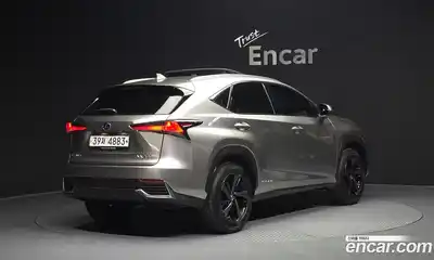 Lexus NX 2019 2.5 гидро в Москве № 1548852, миниатюра 2