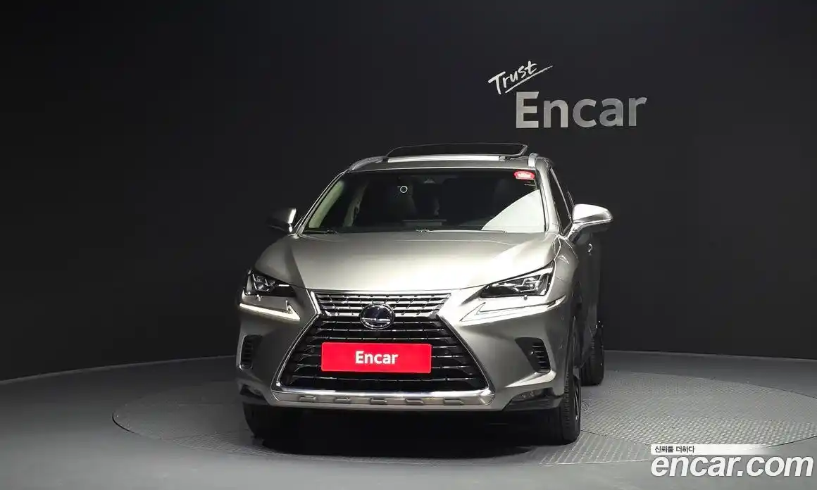 Lexus NX 2019 2.5 гидро в Москве № 1548852, фото 3