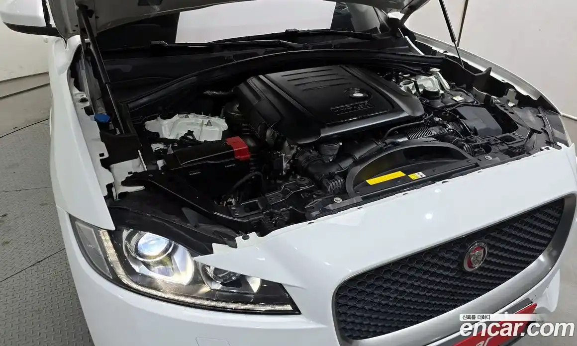 Jaguar F-Pace 2018 2.0 гидро в Москве № 290785, фото 6