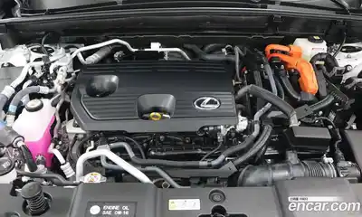 Lexus NX 2025 2.5 вариатор в Москве № 1548931, миниатюра 6