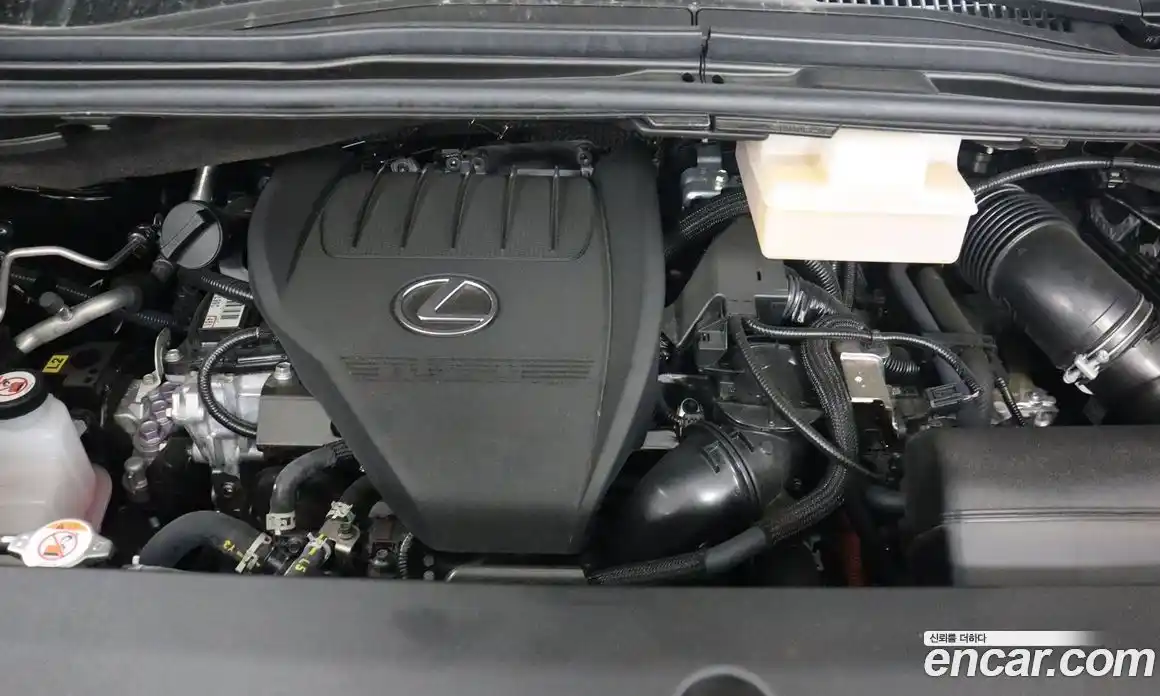 Lexus LM 2025 2.4 гидро в Москве № 1548935, фото 6