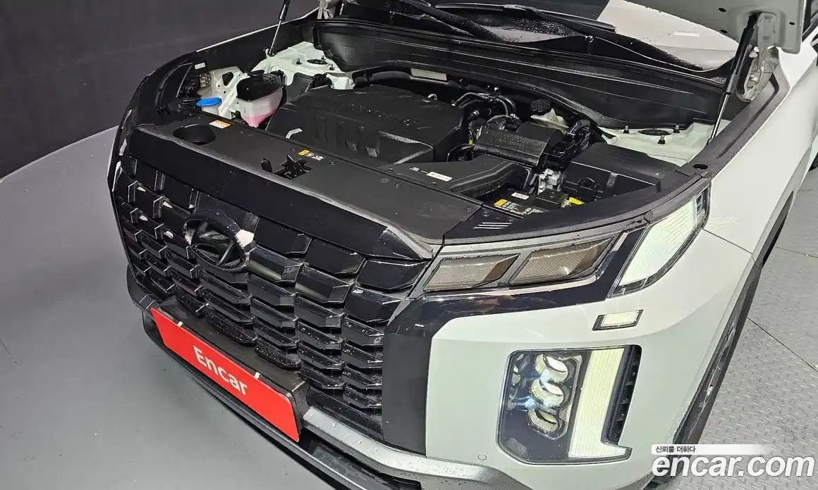 Hyundai Palisade 2024 2.2 гидро в Москве № 43933, фото 6