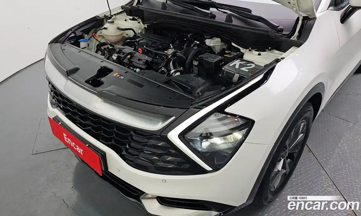 Kia Sportage 2024 1.6 гидро в Москве № 1538656, фото 6