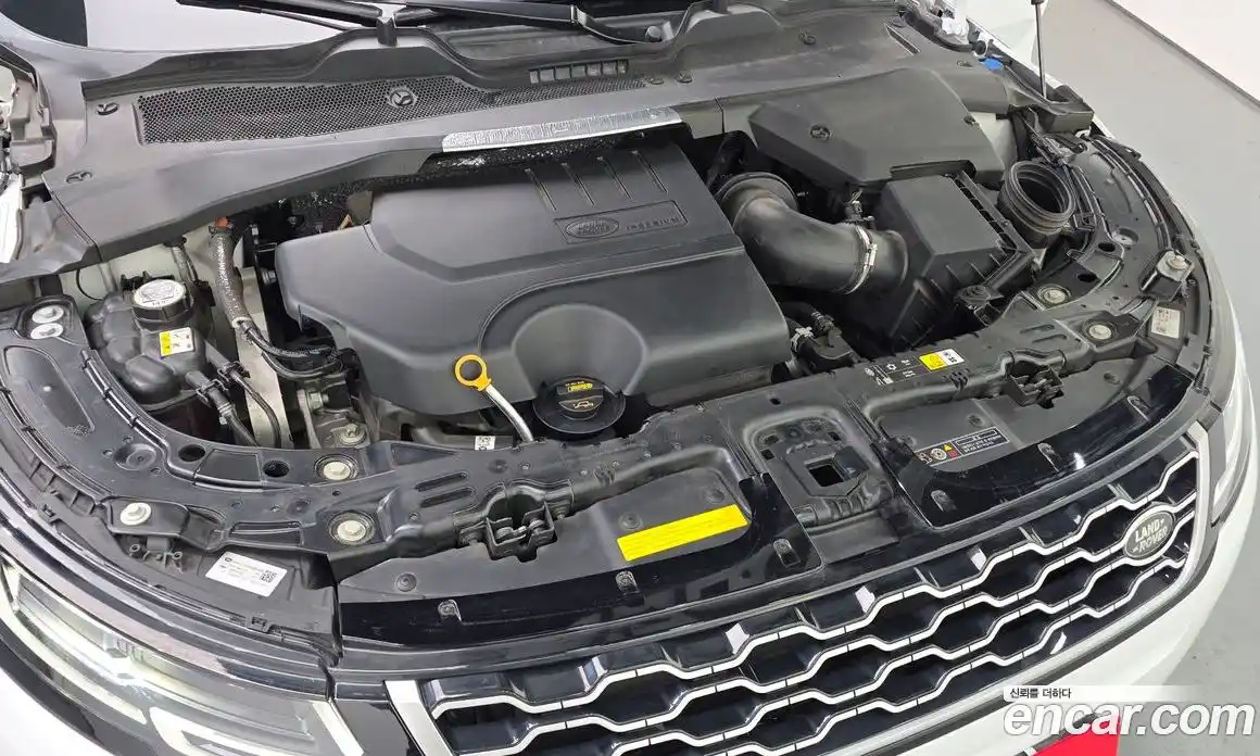 Land Rover Range-Rover Evoque 2023 2.0 гидро в Москве № 1547518, фото 6