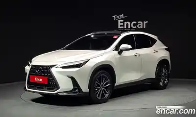 Lexus NX, 2024