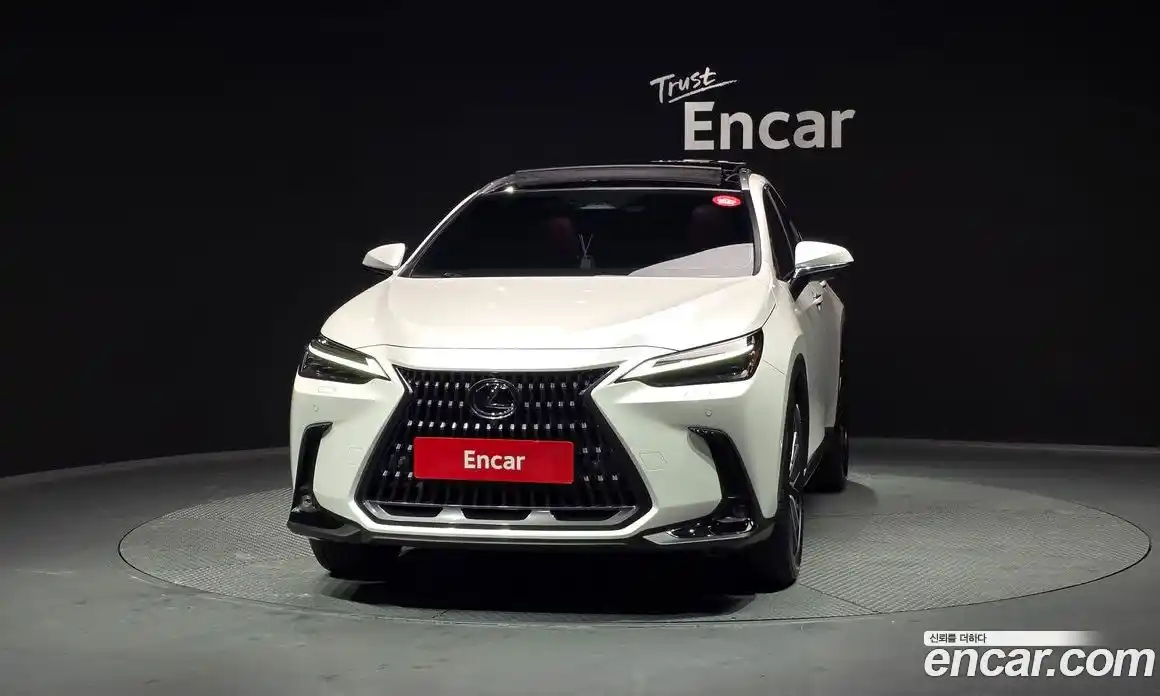 Lexus NX 2024 2.5 гидро в Москве № 168020, фото 3