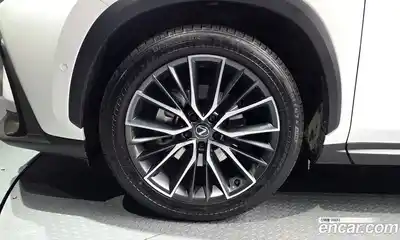 Lexus NX 2024 2.5 гидро в Москве № 168020, миниатюра 5