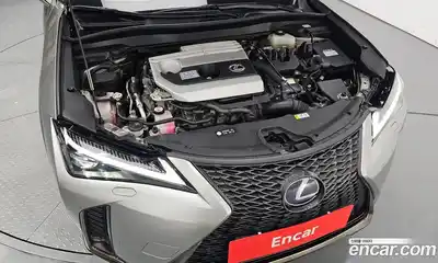 Lexus UX 2021 2.0 гидро в Москве № 1548800, миниатюра 6