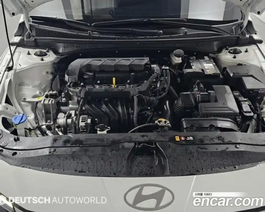 Hyundai Avante 2024 1.6 гидро в Москве № 1610117, фото 6
