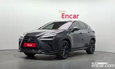 Lexus NX, 2023