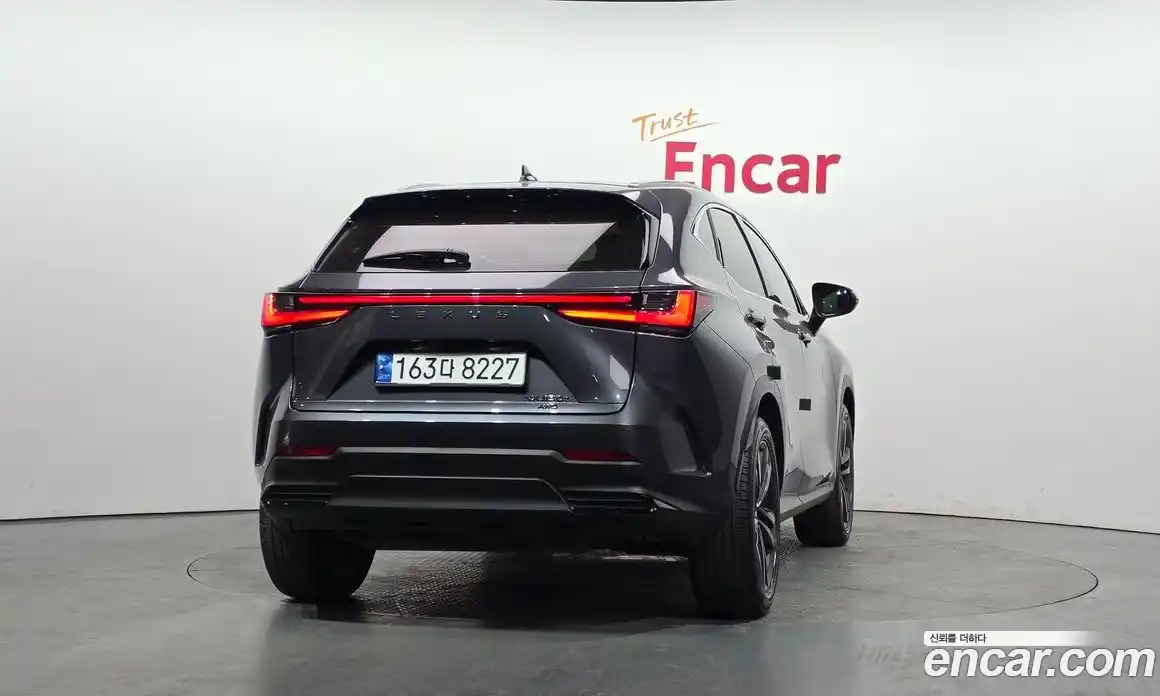 Lexus NX 2023 2.5 гидро в Москве № 1622712, фото 4
