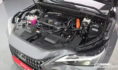 Lexus NX 2023 2.5 гидро в Москве № 1622712, миниатюра 6