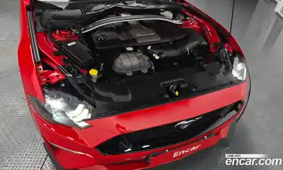 Ford Mustang 2019 5.0 гидро в Москве № 1624911, миниатюра 6