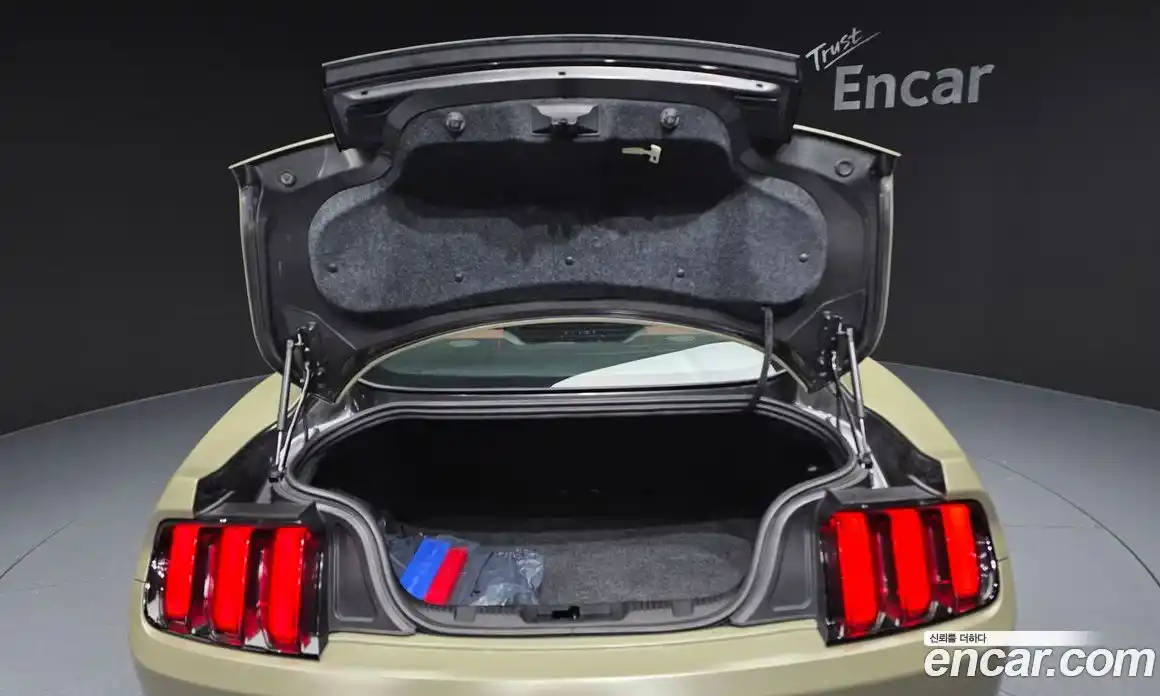 Ford Mustang 2017 2.3 гидро в Москве № 1625072, фото 20