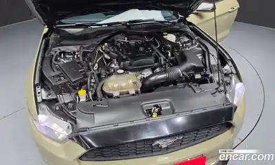 Ford Mustang 2017 2.3 гидро в Москве № 1625072, миниатюра 6