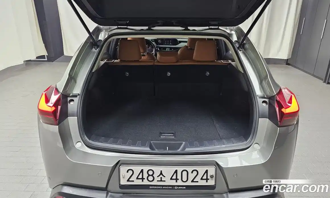 Lexus UX 2020 2.0 гидро в Москве № 1622791, фото 20