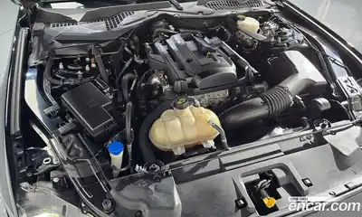 Ford Mustang 2020 2.3 гидро в Москве № 1624886, миниатюра 6
