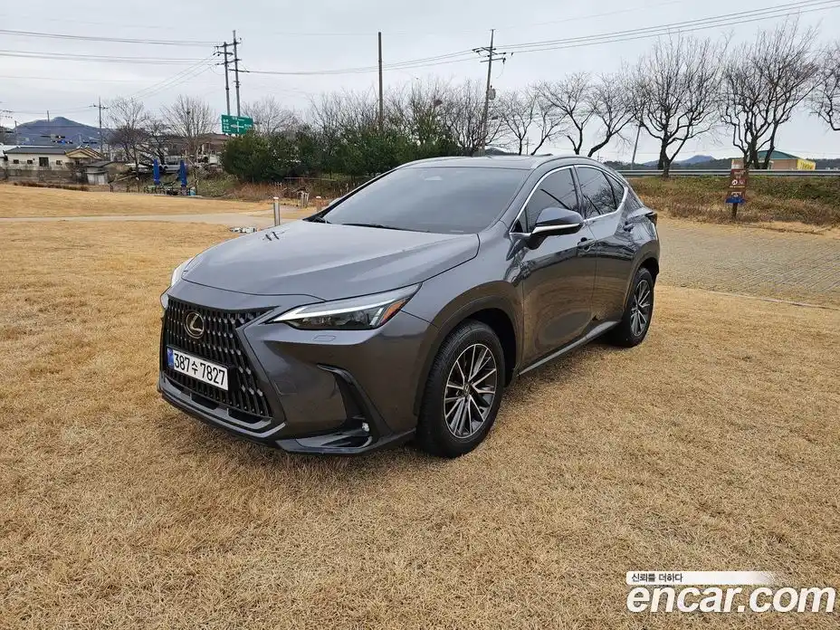 Lexus NX 2023 2.5 гидро в Москве № 214789, фото 3