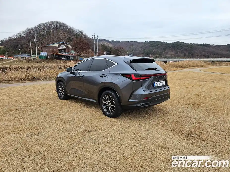 Lexus NX 2023 2.5 гидро в Москве № 214789, фото 5