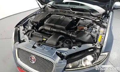 Jaguar XF 2014 2.2 гидро в Москве № 1625501, миниатюра 6
