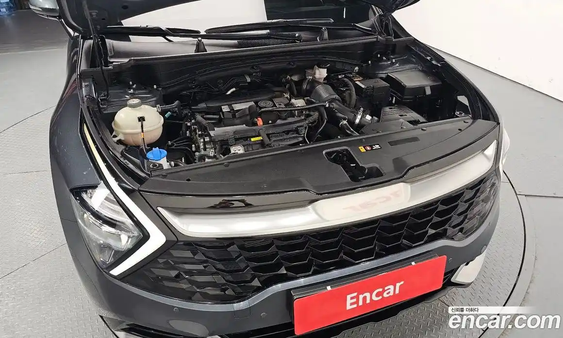 Kia Sportage 2023 1.6 гидро в Москве № 1611559, фото 6