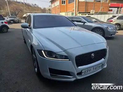 Jaguar XF 2017 2.0 гидро в Москве № 1625614, миниатюра 2