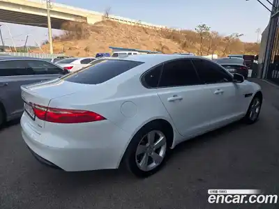 Jaguar XF 2017 2.0 гидро в Москве № 1625614, миниатюра 4