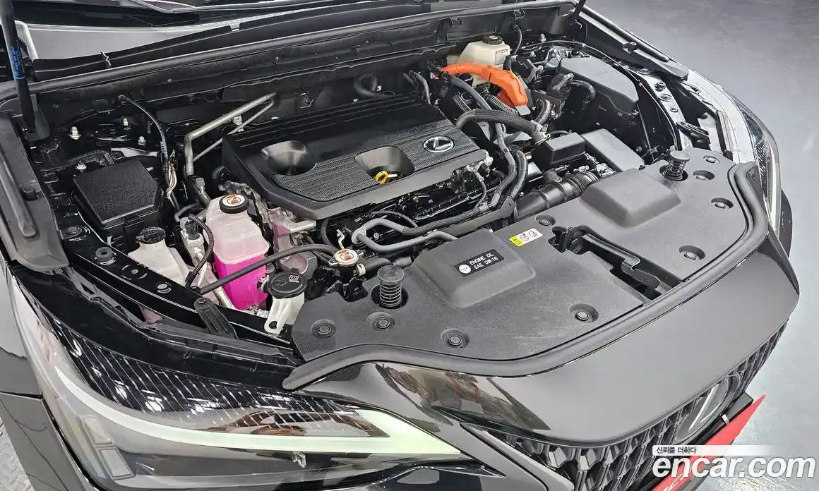 Lexus NX 2023 2.5 гидро в Москве № 1622692, фото 6