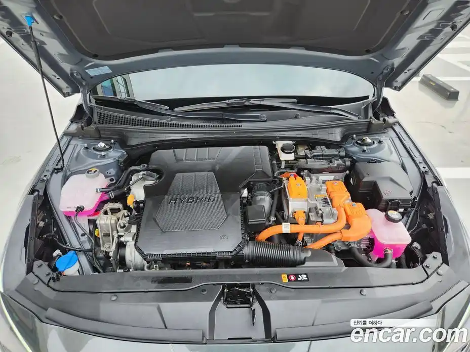 Hyundai Avante 2021 1.6 гидро в Москве № 1683871, фото 19