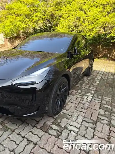 Tesla Model Y 2023 гидро в Москве № 1692862, миниатюра 8