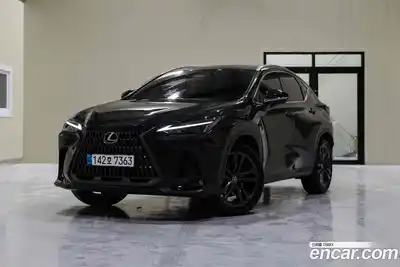 Lexus NX, 2025