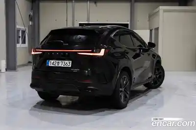 Lexus NX 2025 2.5 гидро в Москве № 1693007, миниатюра 2