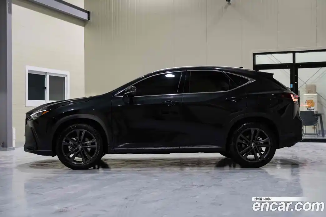 Lexus NX 2025 2.5 гидро в Москве № 1693007, фото 3
