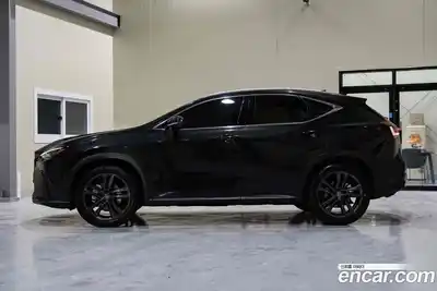 Lexus NX 2025 2.5 гидро в Москве № 1693007, миниатюра 3