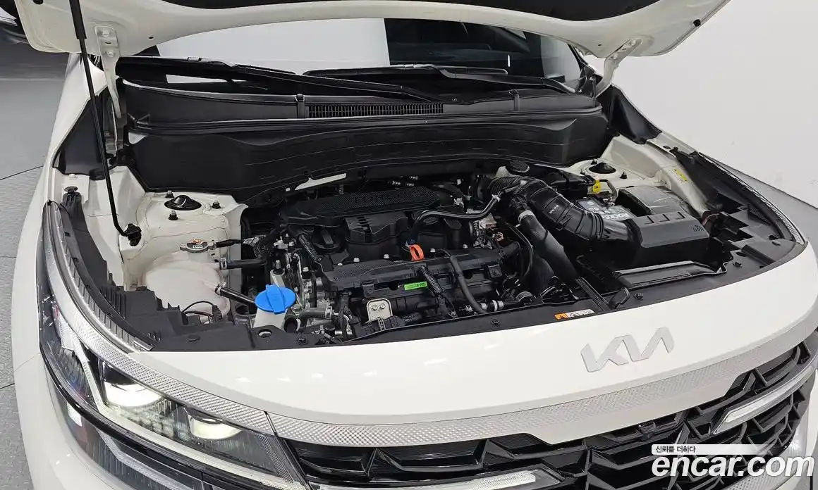 Kia Seltos 2023 1.6 гидро в Москве № 1684524, фото 6