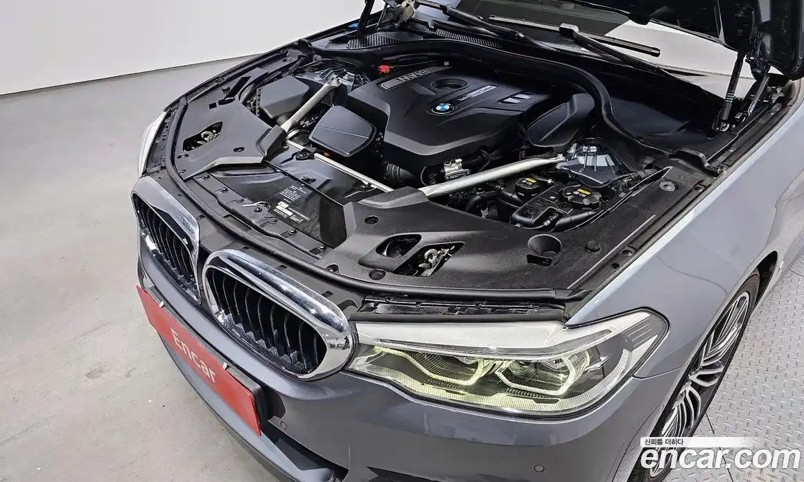 BMW 5-Series 2019 2.0 гидро в Москве, фото 6